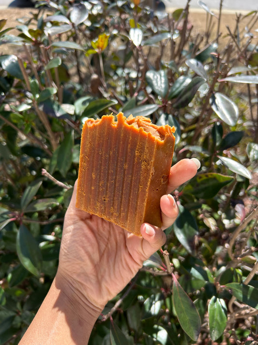 Turmeric n Honey Soap