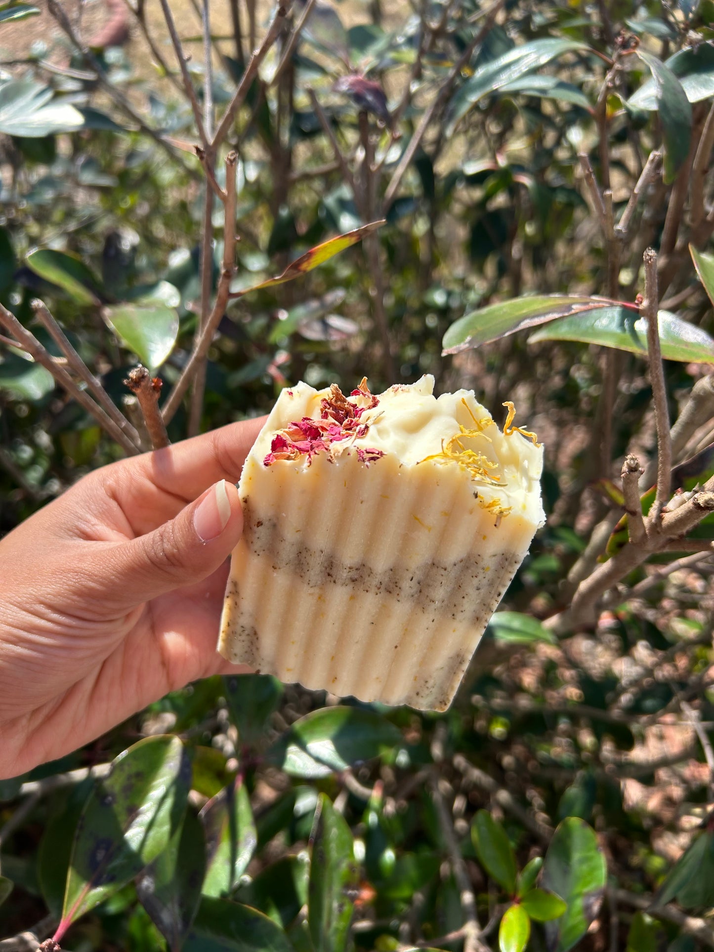 rose calendula soap